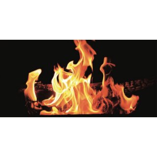 Bildheizung Flames
