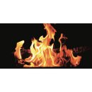 Bildheizung Flames