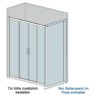 Doccia Bogota Seitenwand für Tür, bis 90cm, H:bis 210cm, RAL-Farbe, Glas Dekor