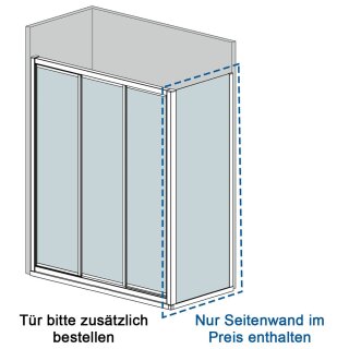 Doccia Adelaida Seitenwand für Tür, bis 90cm, H:bis 210cm, RAL-Farbe, Glas matt