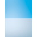 ESG Glasmattierung mittig