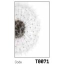 Dekor T0071