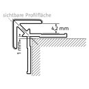 HSK Eckprofil außen gerade, 23x23mm, Höhe...